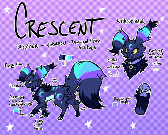 reference sheet + custom design