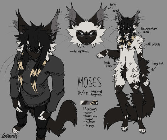 personal design + reference sheet